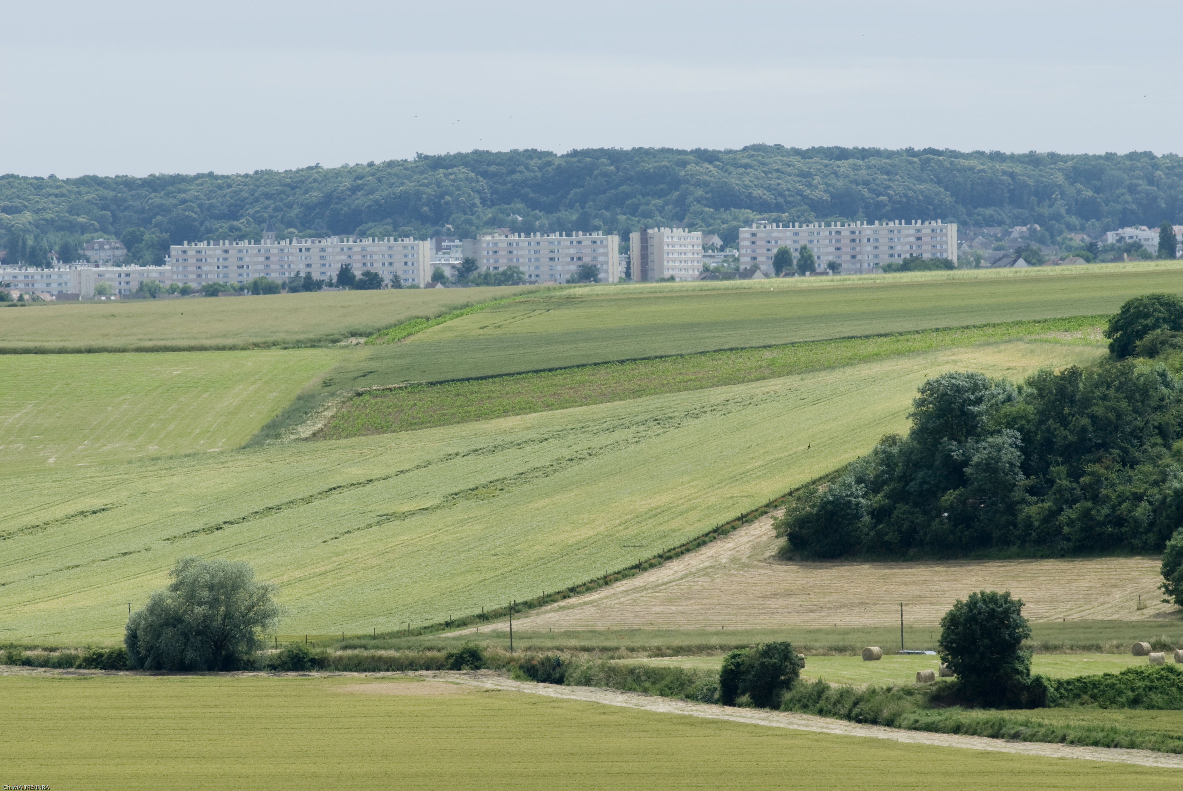 habitations à promixité de zones agricoles, cliché Christophe Maitre, INRAE