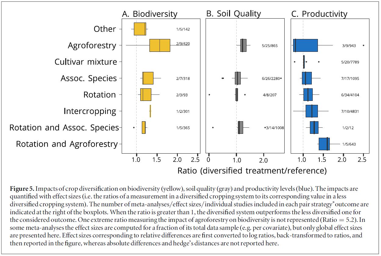 Impacts of crop diversification on biodiversity, soil quality and yields
